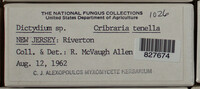 Image Associated With the Occurence